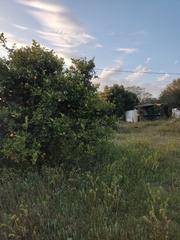 Location Mas à Vejer. Casa de campo para todo el ano
