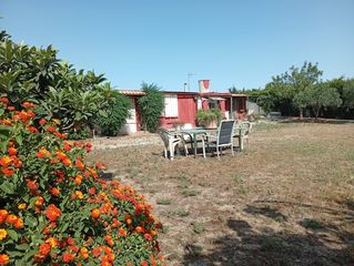 Lloguer Masia a Medina Sidonia. Tranquilo y modesto