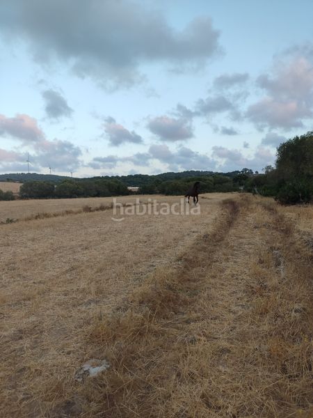 Foto 0296eec1-8aca-46d0-a02c-76bab96a7f2f. Finca rústica a Vejer Vejer de la Frontera