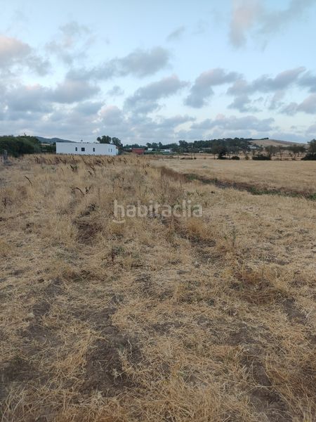 Foto 0c922159-9151-4ffa-906d-22f655150a91. Finca rústica a Vejer Vejer de la Frontera