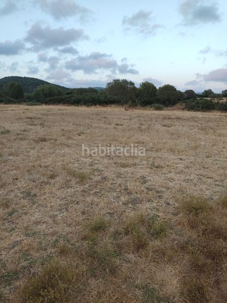 Foto 16b043bf-7e3a-441f-a534-250ab7660d5f. Finca rústica a Vejer Vejer de la Frontera