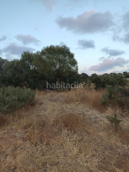 Foto 288cfb99-d2f6-4c1a-92b7-d5e1467e7ab5. Finca rústica a Vejer Vejer de la Frontera