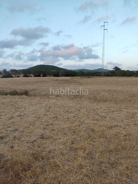 Foto 2e0b2eb9-37f9-486d-a391-500eaadad545. Finca rústica a Vejer Vejer de la Frontera