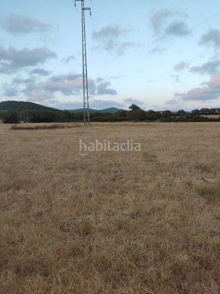 Foto 3b25cb65-606c-410c-9557-32b36c4d8d3c. Finca rústica a Vejer Vejer de la Frontera