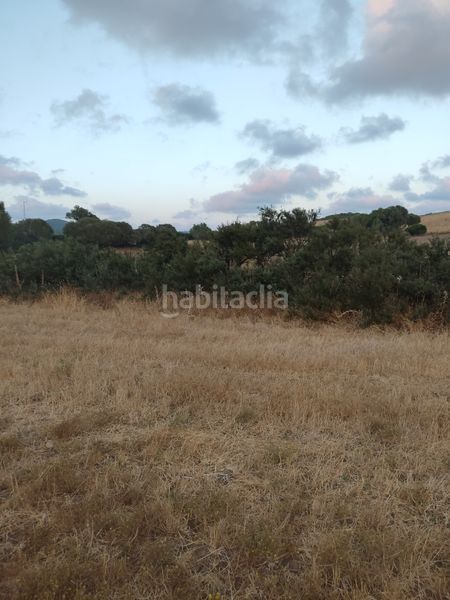 Foto 3e3e8e7c-4325-4116-b9e6-cd5d650a6205. Finca rústica a Vejer Vejer de la Frontera
