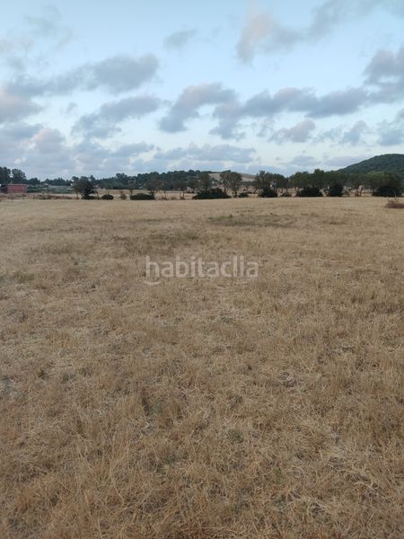 Foto 4d79dd61-f78c-4138-9c98-23849b95ea2c. Finca rústica a Vejer Vejer de la Frontera