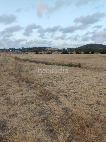 Foto 540ad5c1-7855-45fb-8ebe-e6bf4f3edbb4. Finca rústica a Vejer Vejer de la Frontera