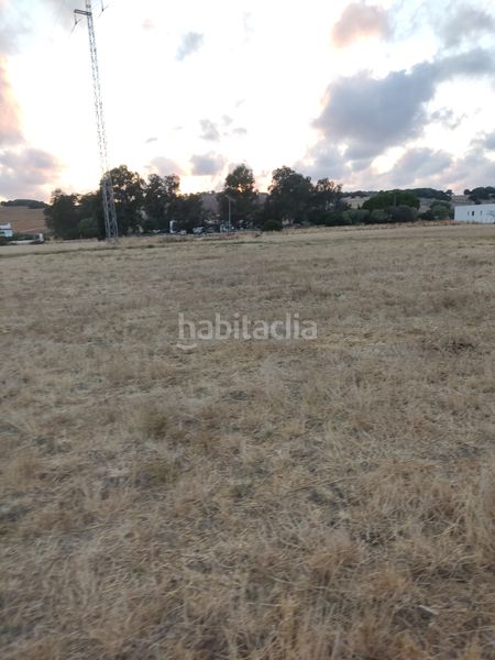 Foto 5a48f955-66cf-4b25-b65e-0cc888f48bd5. Finca rústica a Vejer Vejer de la Frontera