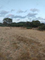 Landgut in Vejer. Terreno de 6049m2 en los naveros