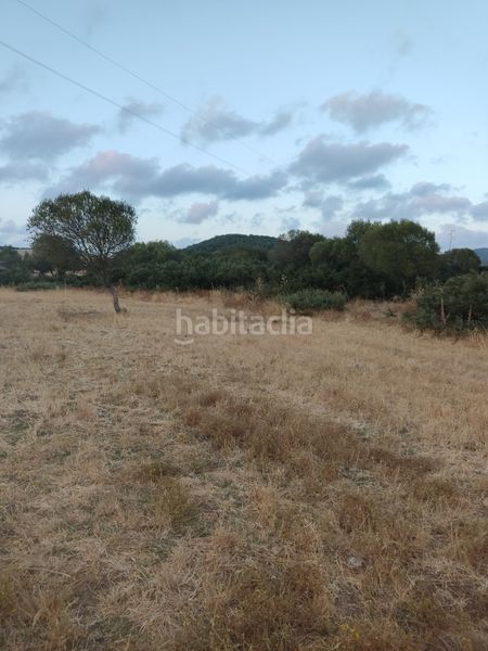 Foto 867610fa-2e57-4c41-9e40-222ef1838882. Finca rústica a Vejer Vejer de la Frontera