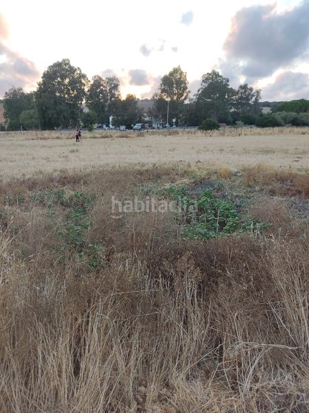Foto 92e02a46-853b-47bc-951e-a6792a885d85. Finca rústica a Vejer Vejer de la Frontera
