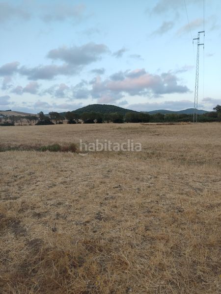 Foto a1e74b3a-d41f-403f-a69b-8b1287294a36. Finca rústica a Vejer Vejer de la Frontera
