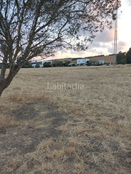 Foto a355491a-d6cb-4560-93ef-7c98c58590d2. Finca rústica a Vejer Vejer de la Frontera