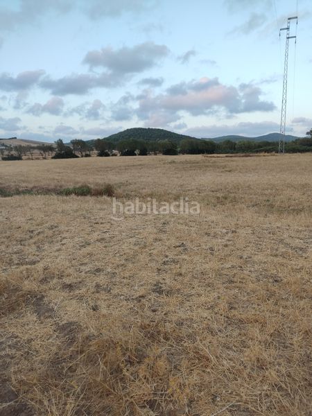Foto b398a728-ebf7-434a-b35f-466722923a31. Finca rústica a Vejer Vejer de la Frontera