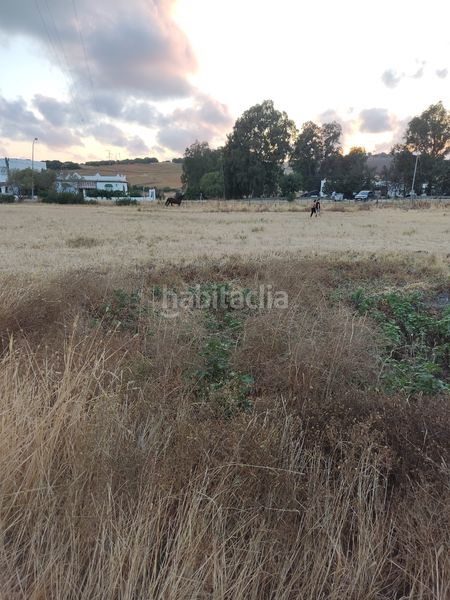 Foto b4d5fadb-fbf0-4879-8a24-c3721ae2f07e. Finca rústica a Vejer Vejer de la Frontera