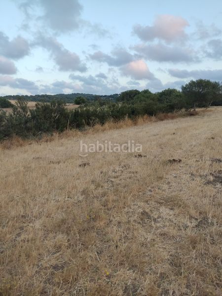 Foto c75ae550-1f7a-4672-9251-400d66f26581. Finca rústica a Vejer Vejer de la Frontera