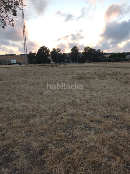 Foto c90b9b1d-013c-414f-af64-f13db8c7102e. Finca rústica a Vejer Vejer de la Frontera