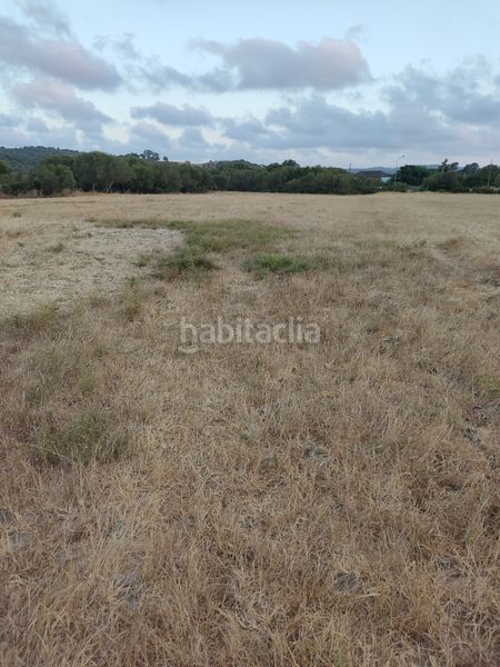 Foto d13cfab9-55fc-4c83-abc3-1dade25bd980. Finca rústica a Vejer Vejer de la Frontera