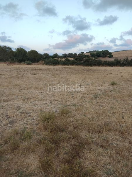 Foto d29c9d10-2515-47d5-af61-ac68c017e793. Finca rústica a Vejer Vejer de la Frontera