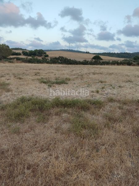 Foto e1d03c19-b6e6-408c-a2f2-753cfb043d37. Finca rústica a Vejer Vejer de la Frontera