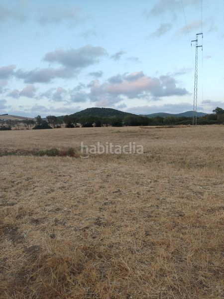 Foto e9144762-0a0c-4ecd-8471-728b4404abfb. Finca rústica a Vejer Vejer de la Frontera