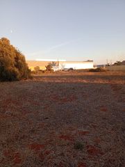 Fondo rustico  Diseminado pago zorro. **terreno en venta en conil de la frontera - oportunidad única**