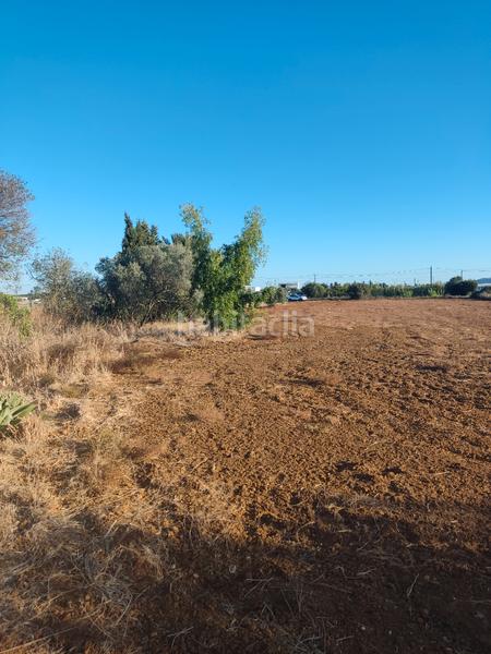 Foto 17580e74-181a-40cb-9fb3-3ced2bc8cb6a. Finca rústica a Roche Conil de la Frontera