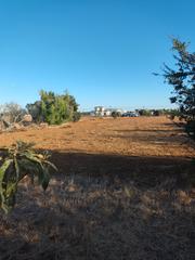 Finca rústica  Carretera las parcelas de roche. ¡descubre la oportunidad perfecta para invertir en tu futuro!