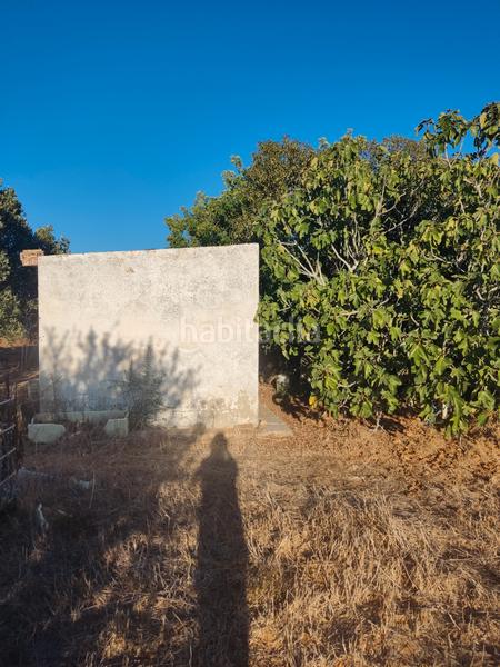 Foto 46e36e23-710b-41a0-88bb-0fa5d7c8ced2. Finca rústica a Roche Conil de la Frontera