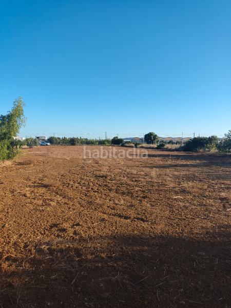 Foto 5de66eb3-1708-4dcf-bb79-f5a46350bba0. Finca rústica a Roche Conil de la Frontera