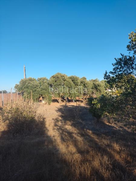 Foto 65b49cf4-3c2e-492f-ad4a-4e1aa45e8eb4. Finca rústica a Roche Conil de la Frontera