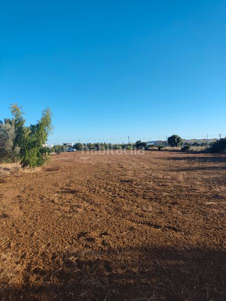 Foto 8e7ff7fd-0c53-47fe-a946-00bf1929f992. Finca rústica a Roche Conil de la Frontera