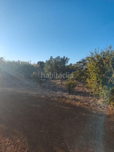 Foto 9e4e85ce-af27-4649-ae97-1f1495fc96e0. Finca rústica a Roche Conil de la Frontera