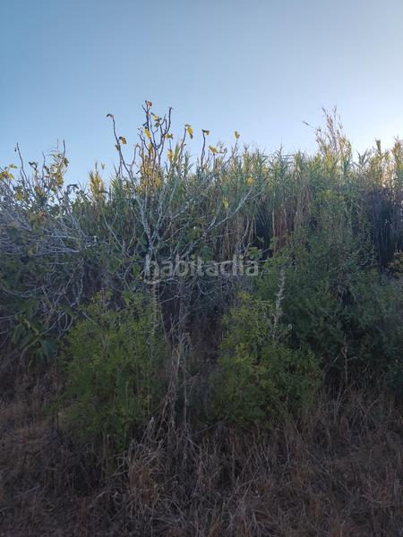 Foto a7643513-56cf-449e-a872-0447c258fc40. Finca rústica a Roche Conil de la Frontera
