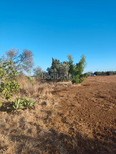 Foto b9da3827-4d0d-4cf7-98e7-fc0d3fa9eb50. Finca rústica a Roche Conil de la Frontera