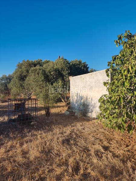 Foto be0cb99f-035e-45f2-8e7a-70996a134906. Finca rústica a Roche Conil de la Frontera