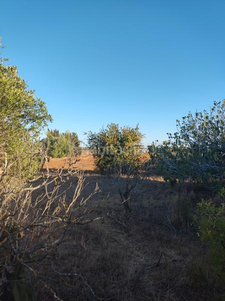 Foto d22899ef-bf9b-4b5b-b4c2-fe19425a33ef. Finca rústica a Roche Conil de la Frontera