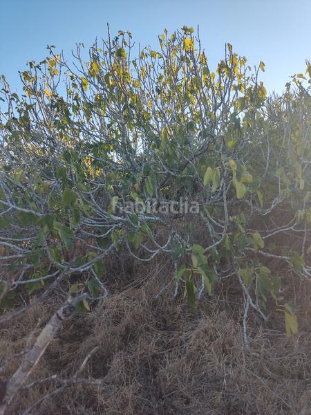 Foto e50340a0-0c27-4127-8d4a-12348f3c4d7f. Finca rústica a Roche Conil de la Frontera