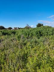 Propriété  Calle. ¡descubre la oportunidad que estabas esperando!