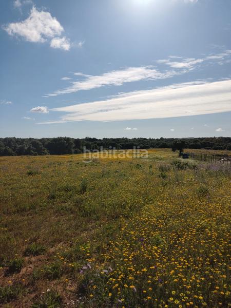 Foto 0f37b178-5642-4c09-aaa9-d36b8fca2424. Rural plot in Algodonales