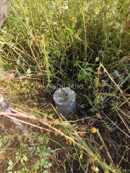 Foto 4012602f-63aa-4524-a7f7-6bb2c9a51c7d. Rural plot in Algodonales