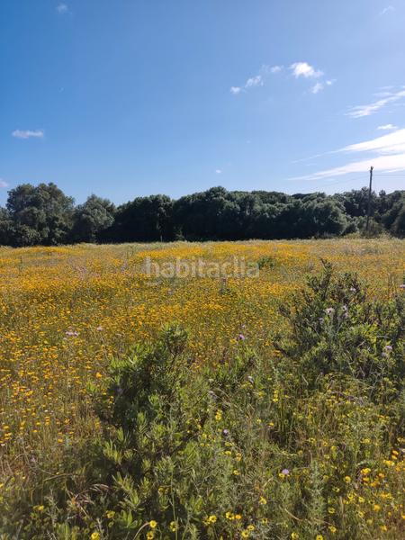 Foto 40a93e83-4de6-4558-9a69-6e33f257babf. Rural plot in Algodonales
