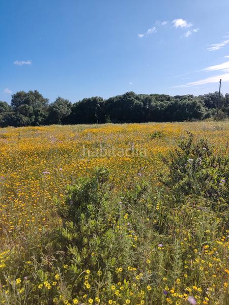 Foto 5b050e69-2bde-444b-a4bc-a25909b0862d. Rural plot in Algodonales