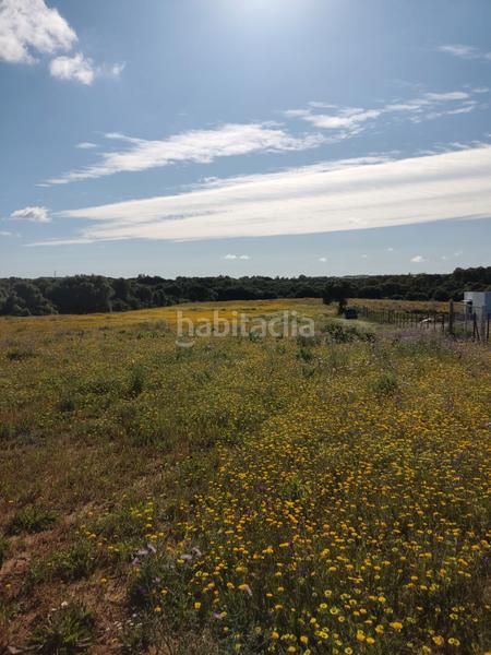Foto 8fbfb76c-6bde-4606-8d28-a5147f61005a. Rural plot in Algodonales