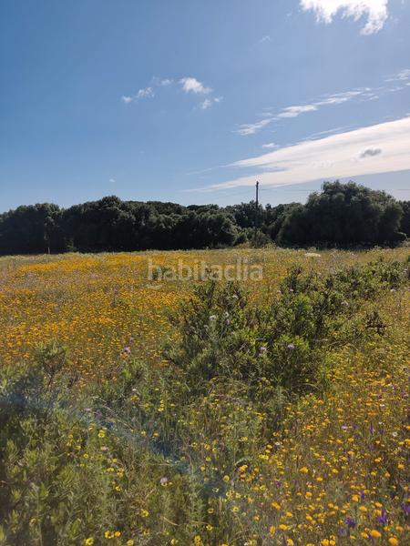Foto c4a55093-75e3-4434-90e7-b09d39a2db9b. Rural plot in Algodonales