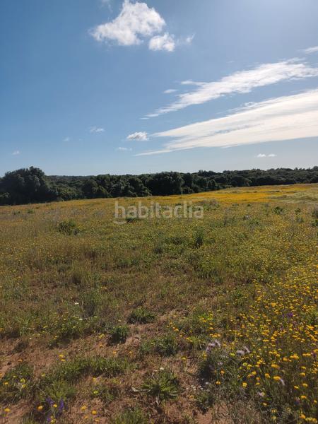 Foto d4903a9a-ecaf-4834-b269-8a19ab3c25ea. Rural plot in Algodonales
