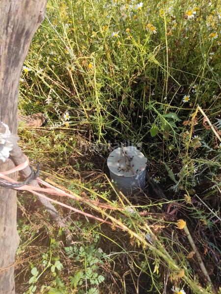 Foto d77d3a58-15f5-4916-af95-e8d36cc9e166. Rural plot in Algodonales