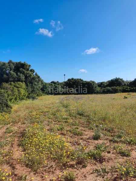 Foto f032d28d-79e4-4cb9-b952-8dbe4996f711. Rural plot in Algodonales
