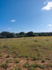 Finca rústica a Algodonales. ¡descubre la oportunidad que estabas esperando!