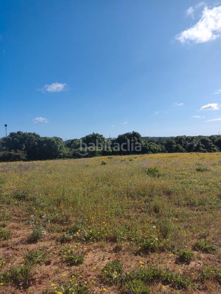 Foto faaa95ee-f428-46d9-8826-d82fc88ec8a7. Rural plot in Algodonales